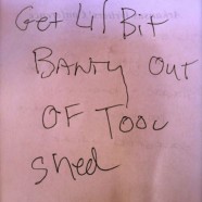 The banty in the shed vs the blog post…