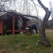 Creating Land Traditions